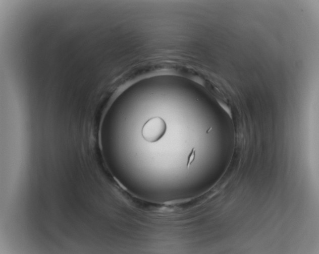 X0000111640566200907241113