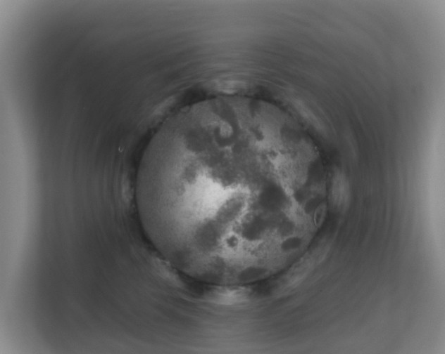 X0000111640569200907241113