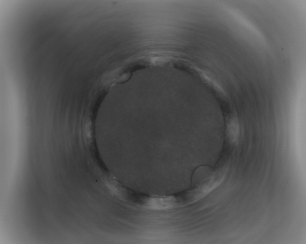 X0000111640571200907241113