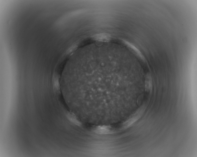 X0000111640573200907241113