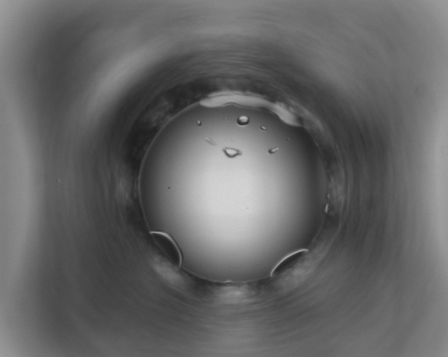 X0000111640574200907241113