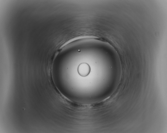 X0000111640576200907241113