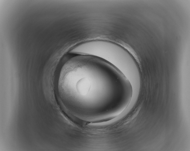 X0000111640577200907241113