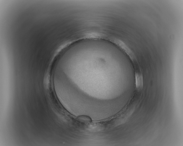 X0000111640579200907241113