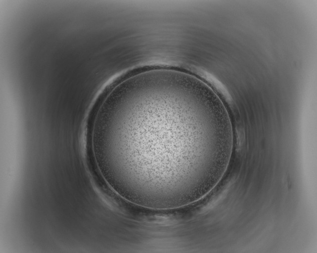 X0000111640580200907241113