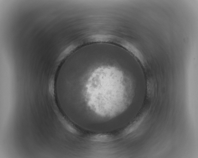 X0000111640581200907241113