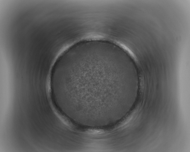 X0000111640582200907241113