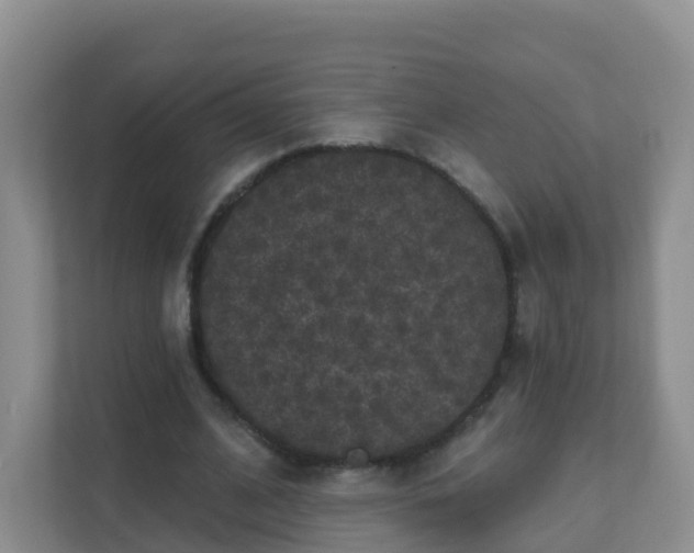 X0000111640584200907241113