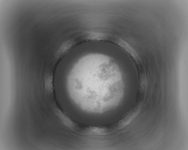 X0000111640585200907241113