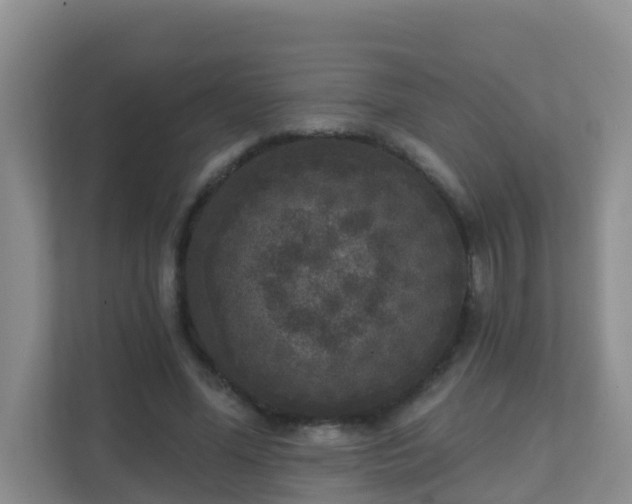 X0000111640588200907241113