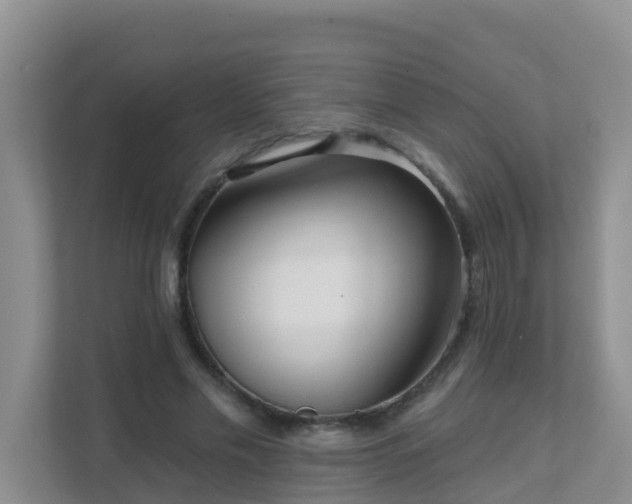 X0000111640589200907241113