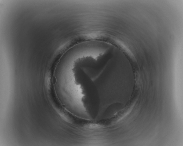 X0000111640590200907241113