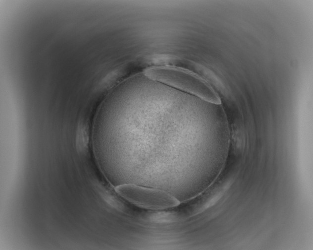 X0000111640593200907241113