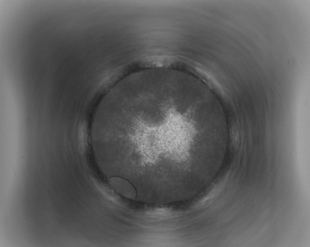 X0000111640594200907241113