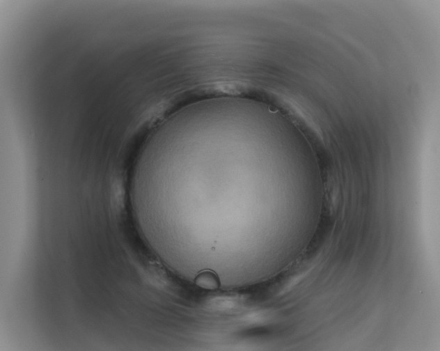 X0000111640595200907241113