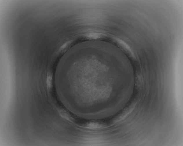 X0000111640596200907241112