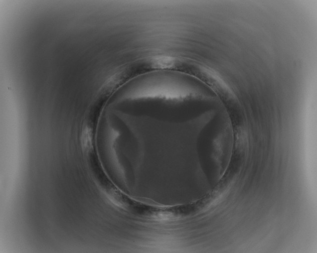 X0000111640598200907241112