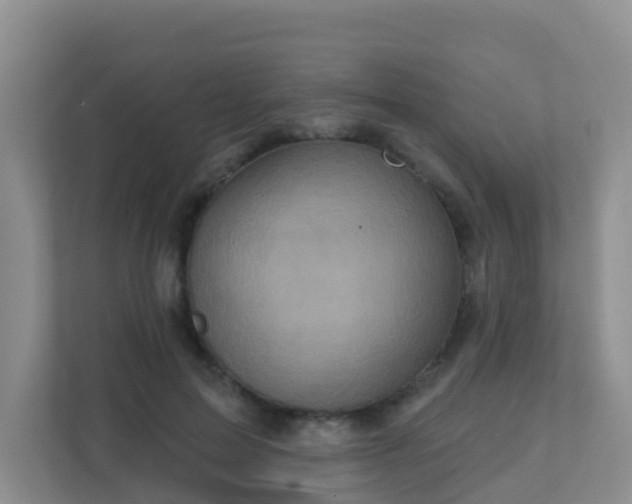 X0000111640599200907241112