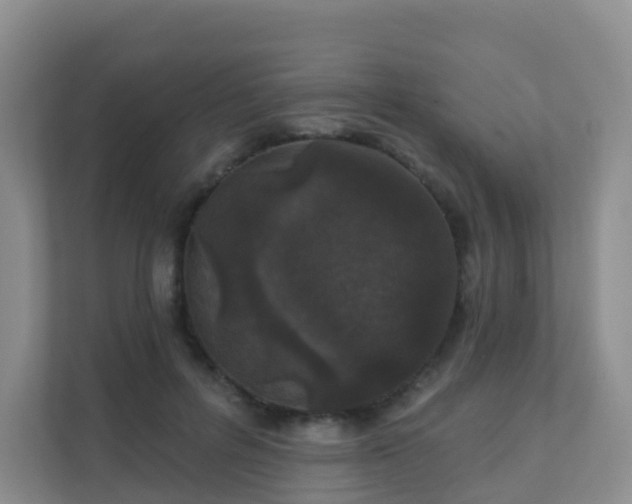 X0000111640600200907241112