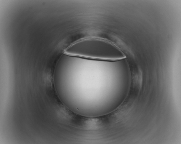 X0000111640609200907241112