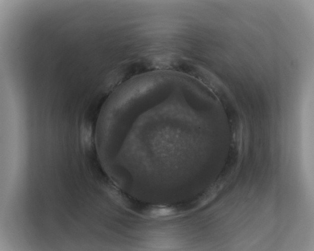 X0000111640610200907241112