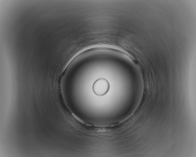 X0000111640611200907241112