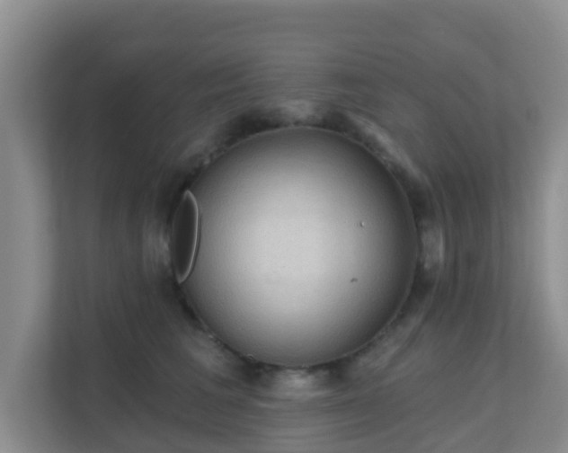 X0000111640613200907241112