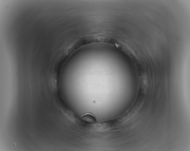 X0000111640615200907241112