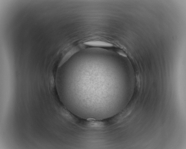 X0000111640617200907241112