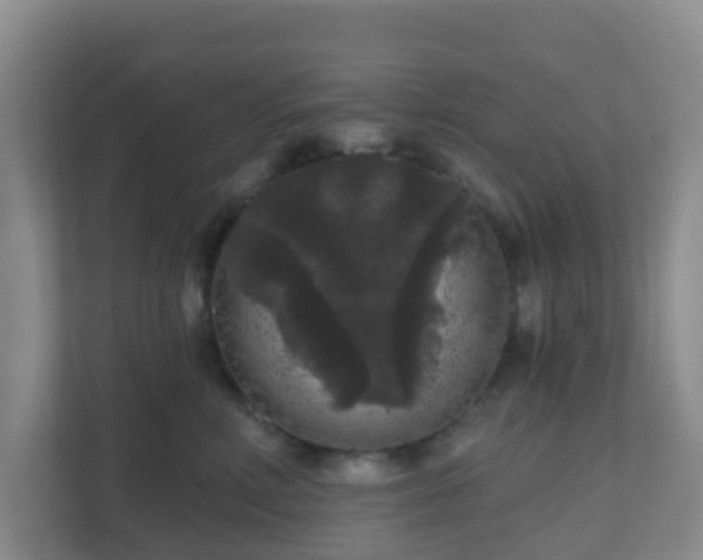 X0000111640618200907241112