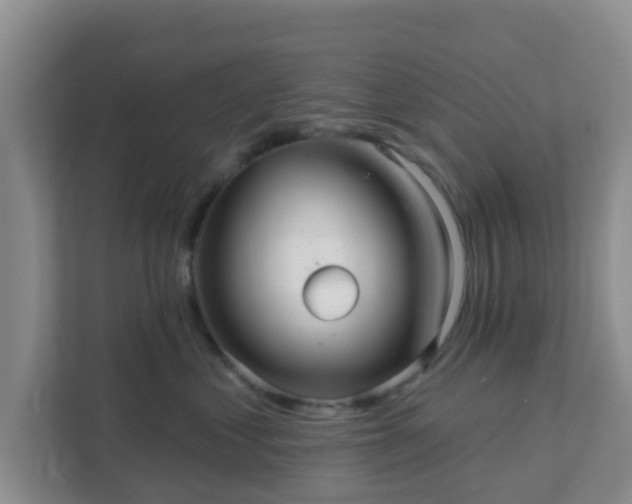 X0000111640621200907241112