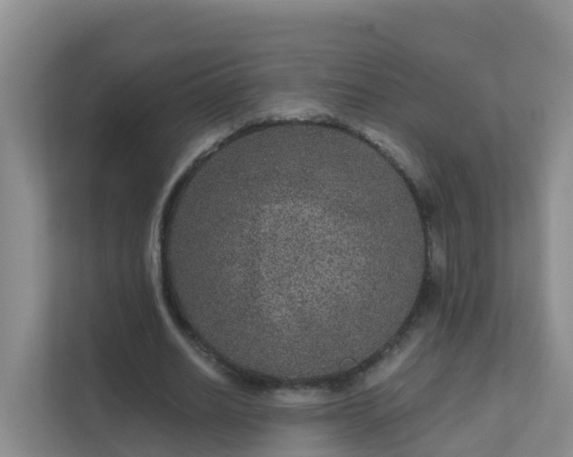 X0000111640630200907241111