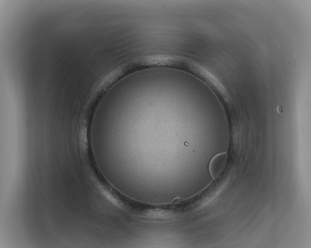 X0000111640633200907241111