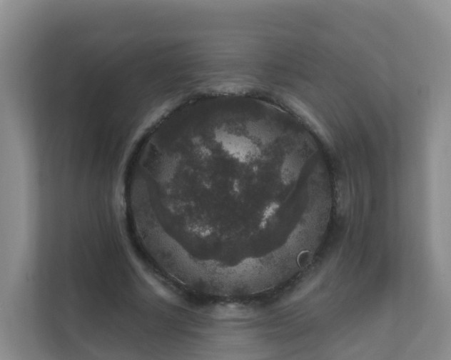 X0000111640634200907241111