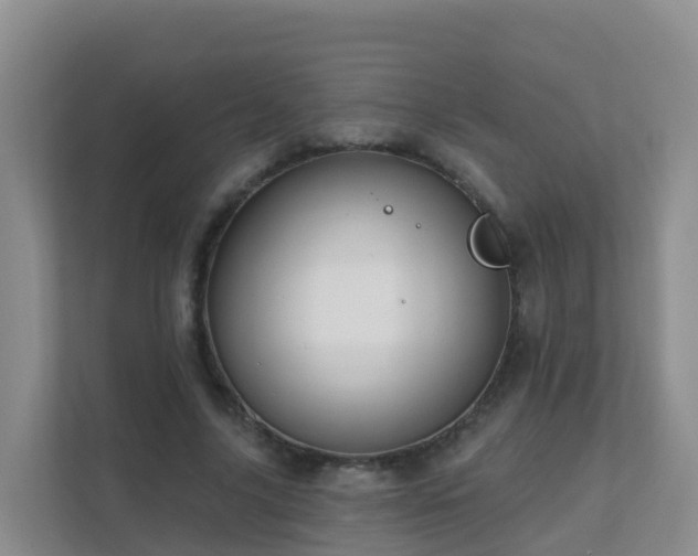 X0000111640635200907241111