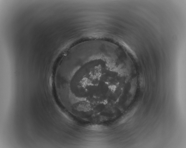 X0000111640637200907241111