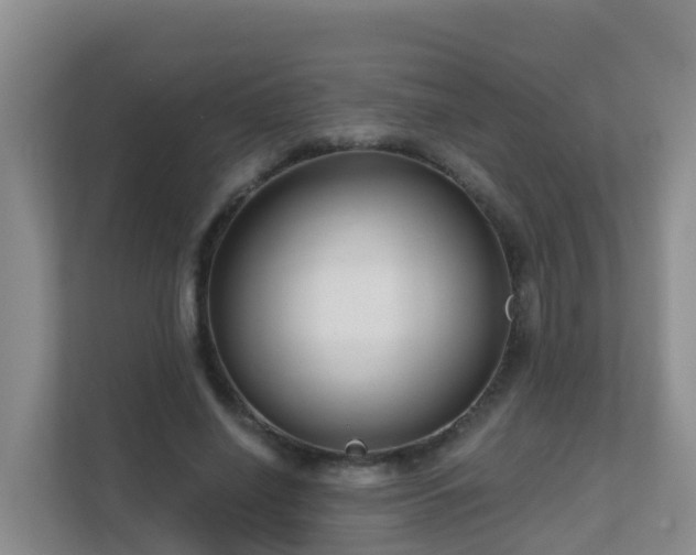 X0000111640638200907241111