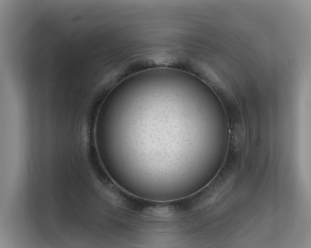 X0000111640639200907241111