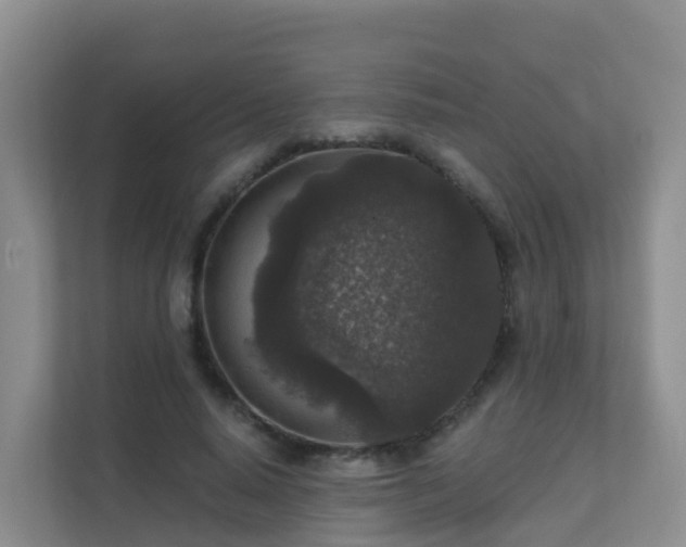 X0000111640640200907241112