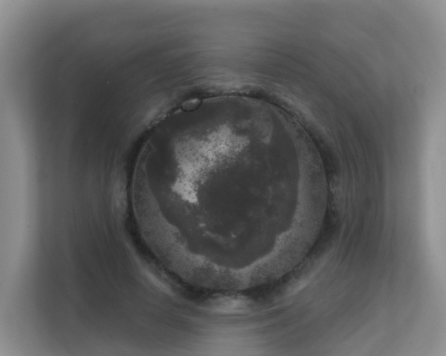 X0000111640642200907241112