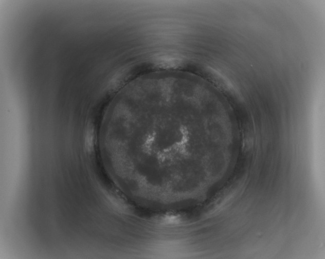 X0000111640647200907241112