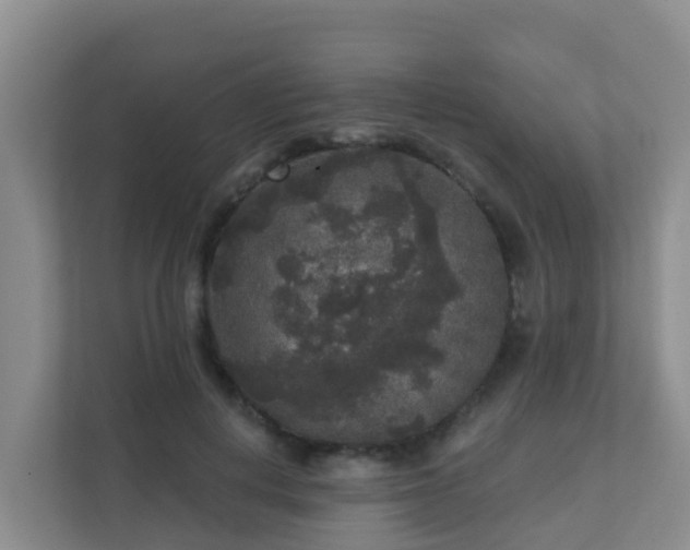 X0000111640648200907241112