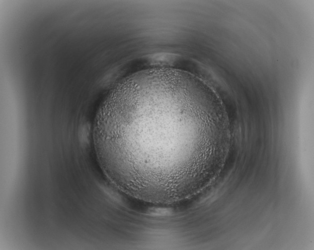 X0000111640649200907241112