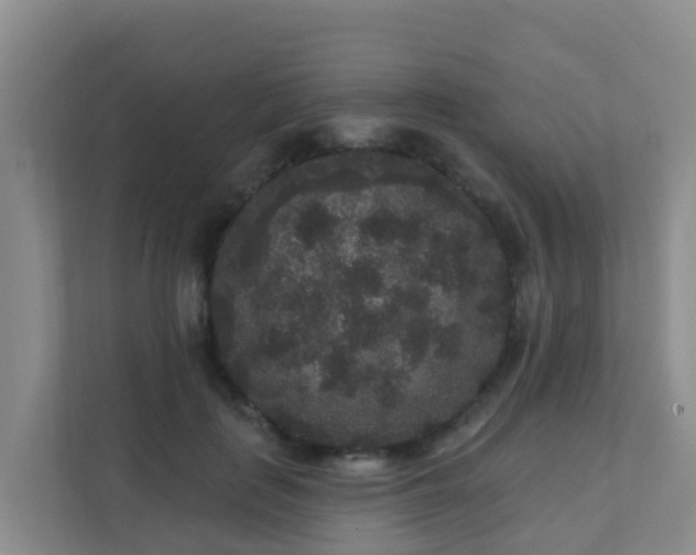 X0000111640651200907241112