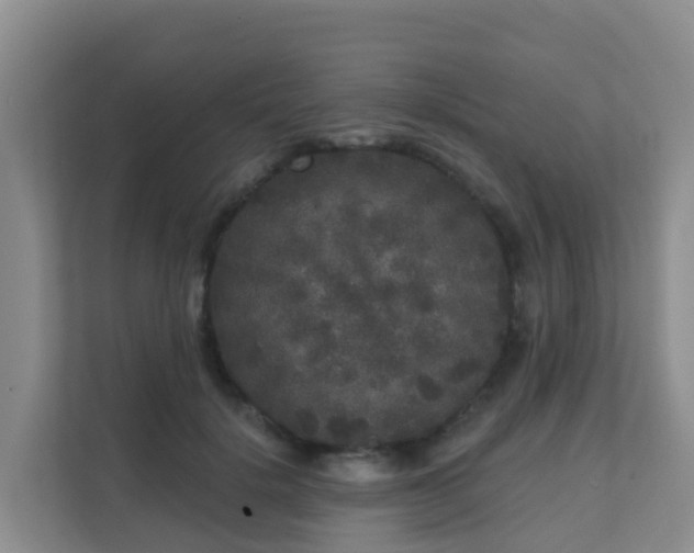 X0000111640652200907241112