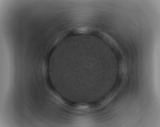 X0000111640653200907241112