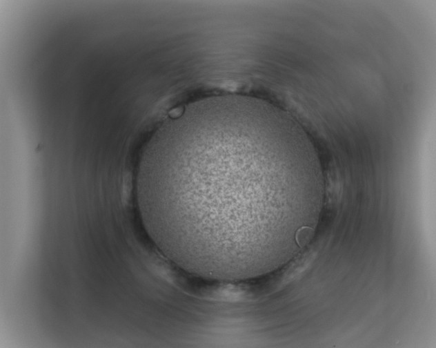 X0000111640656200907241112