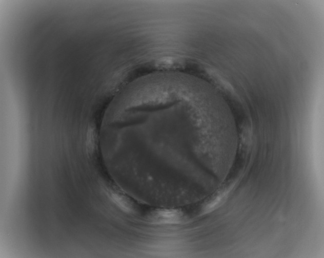 X0000111640659200907241112