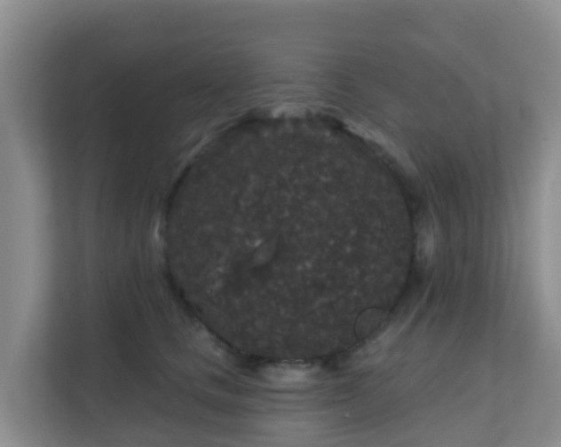 X0000111640661200907241112