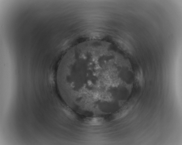 X0000111640663200907241112